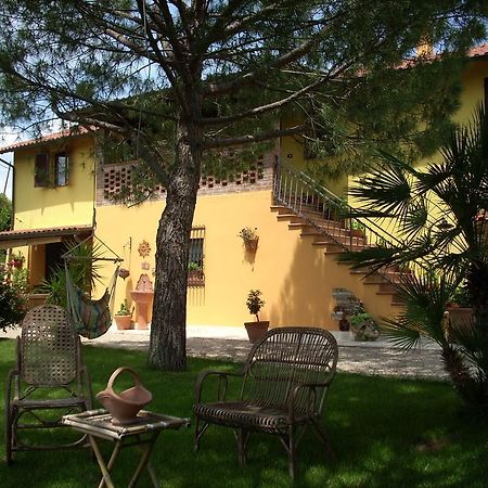 B&B Piceno Кастель-ди-Лама Экстерьер фото